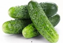 一丝凉爽吃瓜视频大全免费观看,免费观看一丝凉爽吃瓜视频大全